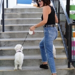 Dropsherdogsatdaycarecenter_020.jpg