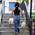 Dropsherdogsatdaycarecenter_022.jpg