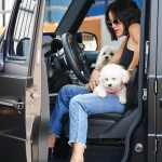 Dropsherdogsatdaycarecenter_045.jpg