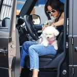Dropsherdogsatdaycarecenter_047.jpg