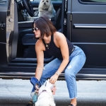Dropsherdogsatdaycarecenter_048.jpg