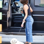 Dropsherdogsatdaycarecenter_049.jpg