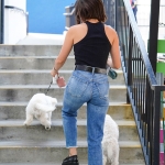 Dropsherdogsatdaycarecenter_057.jpg