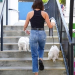 Dropsherdogsatdaycarecenter_058.jpg