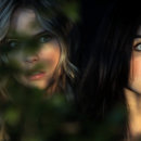 IMG_02103~1.png
