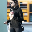 LAShoppingDec9-012.jpg