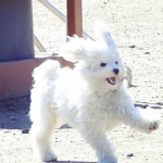LHBR0936.jpg
