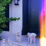 Filename=LHBR1602.jpg
Filesize=176KiB
Dimensions=1440x1440
Date added=Dec 26, 2022 LHBR1602.jpg