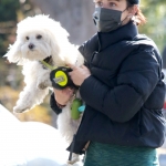 Filename=Lucy050121-081.jpg
Filesize=894KiB
Dimensions=2080x3120
Date added=Jan 06, 2021 Lucy050121-081.jpg