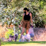Lucy280520-023.jpg