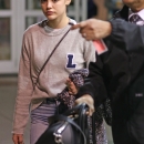 LucyArrivesBackinVancouverNov14-011.jpg
