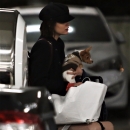 LucyFliesBackToVancouver271117-008.jpg