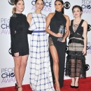 Filename=PCA2016-113.jpg
Filesize=1045KiB
Dimensions=2125x3200
Date added=Jan 07, 2016 PCA2016-113.jpg