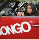 PLLBongosDriveIn2012-15.jpg