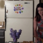 Pretty_Little_Liars_S03E11_BluRay_Rip_720p_Dual_Audio_WWW_TORRENTDOSFILMES_COM_1617.jpg