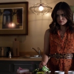 Pretty_Little_Liars_S03E12_BluRay_Rip_720p_Dual_Audio_WWW_TORRENTDOSFILMES_COM_1404.jpg