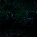 Pretty_Little_Liars_S07E18_WEB-DL_720p_DUAL_WWW_COMANDOTORRENTS_COM_0985.jpg