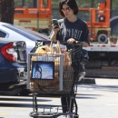 RalphsMarketLA060818_004~0.jpg