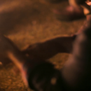 YSGTMscreenshots_2813129.png