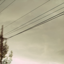 YSGTMscreenshots_284729.png