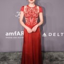 amfar07022018-023.jpg