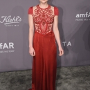 amfar07022018-024.jpg