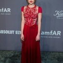 amfar07022018-038.jpg