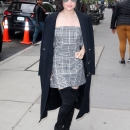 attendingfananyc200417-046.jpg
