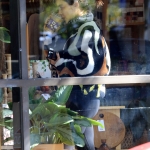 coffeela031122-003.JPG