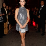 dgdinner2302923-003.jpg