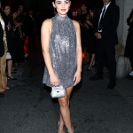 dgdinner2302923-014.jpg