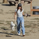 dogpark111023-009.jpg