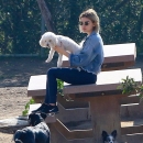 dogpark201118-001.jpg