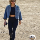 dogpark201118-003.jpg