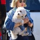 dogpark201118-005.jpg