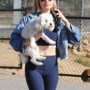 dogpark201118-010.jpg