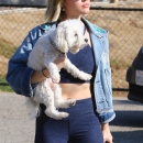 dogpark201118-012.jpg