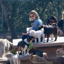 dogpark201118-014.jpg