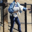 dogpark201118-016.jpg