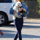 dogpark201118-020.jpg