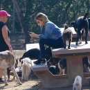 dogpark201118-021.jpg