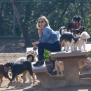 dogpark201118-022.jpg