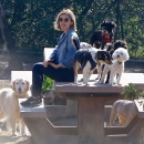 dogpark201118-023.jpg
