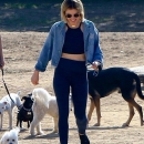 dogpark201118-025.jpg