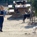 dogpark201118-027.jpg