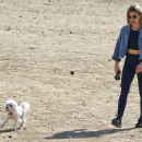 dogpark201118-033.jpg