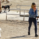 dogpark201118-035.jpg