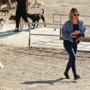 dogpark201118-041.jpg