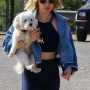dogpark201118-046.jpg