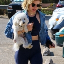 dogpark201118-047.jpg